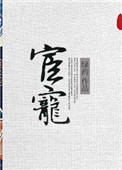 宦宠百度网盘txt